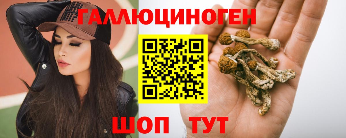 Галлюциногенные грибы Cubensis  Вход с VPN  Десногорск 